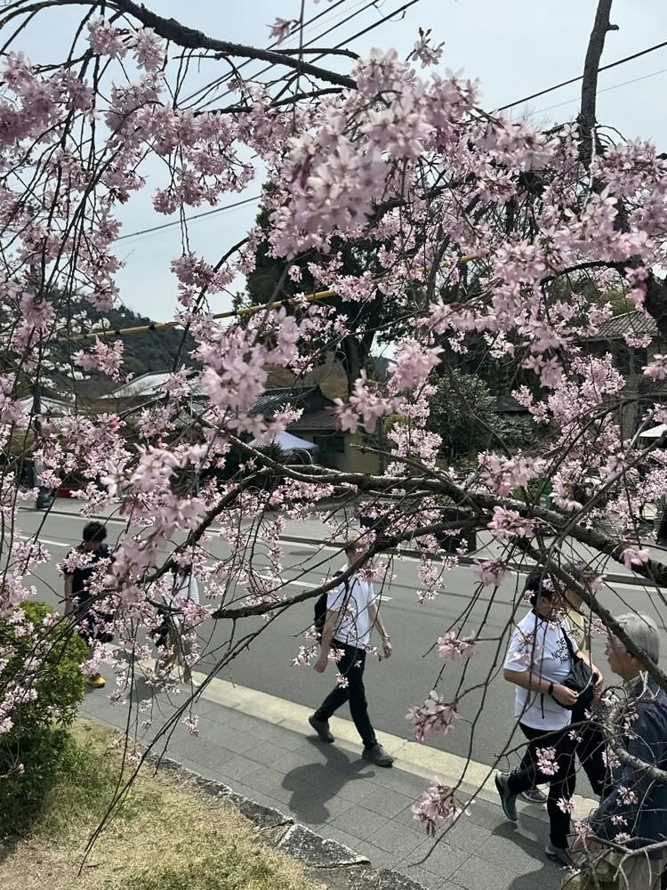 Kyoto