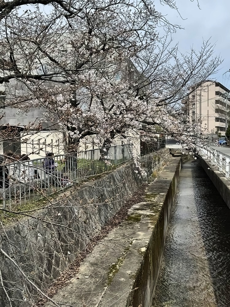 Kyoto