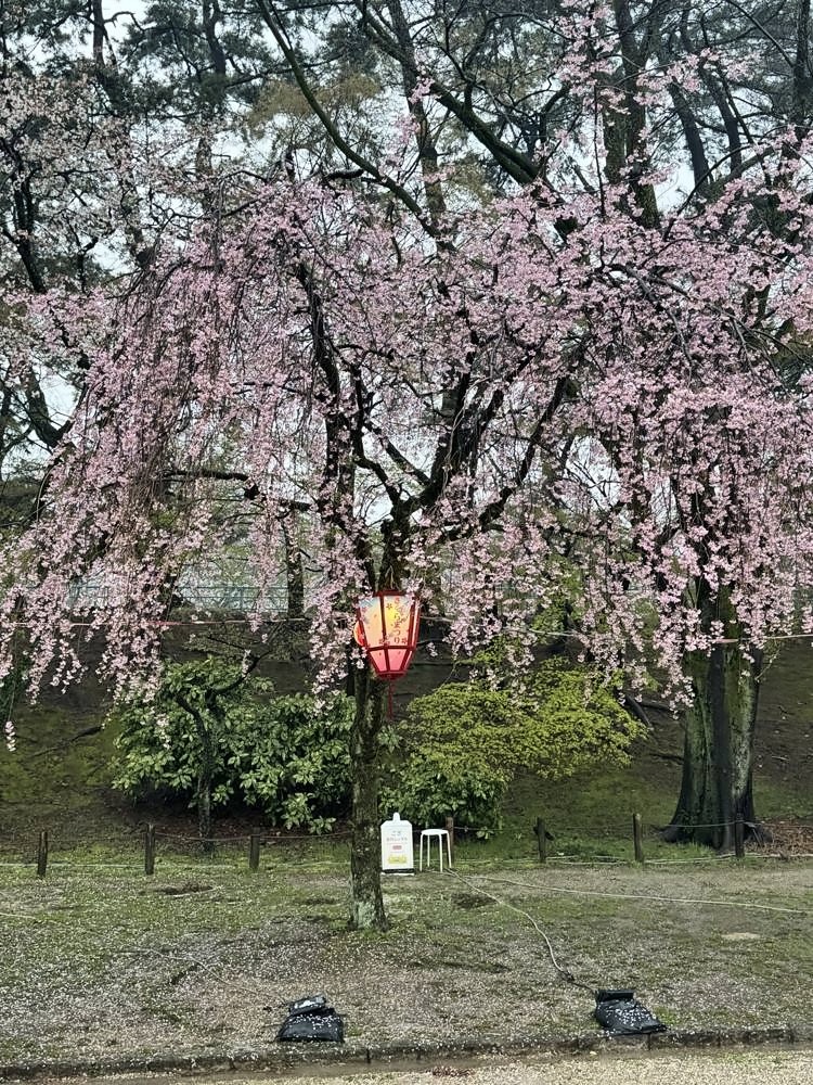 Nagoya