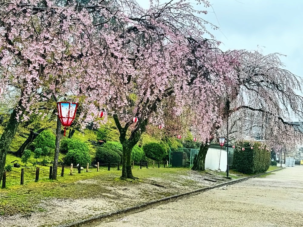 Nagoya