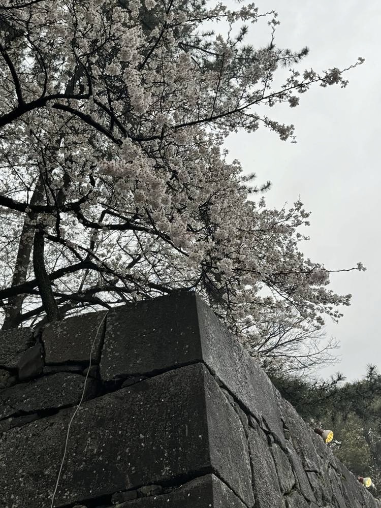 Nagoya