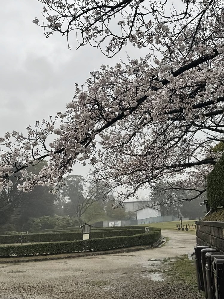 Nagoya