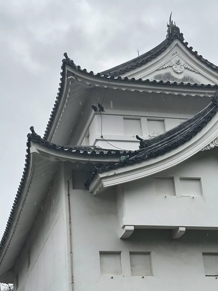 Nagoya