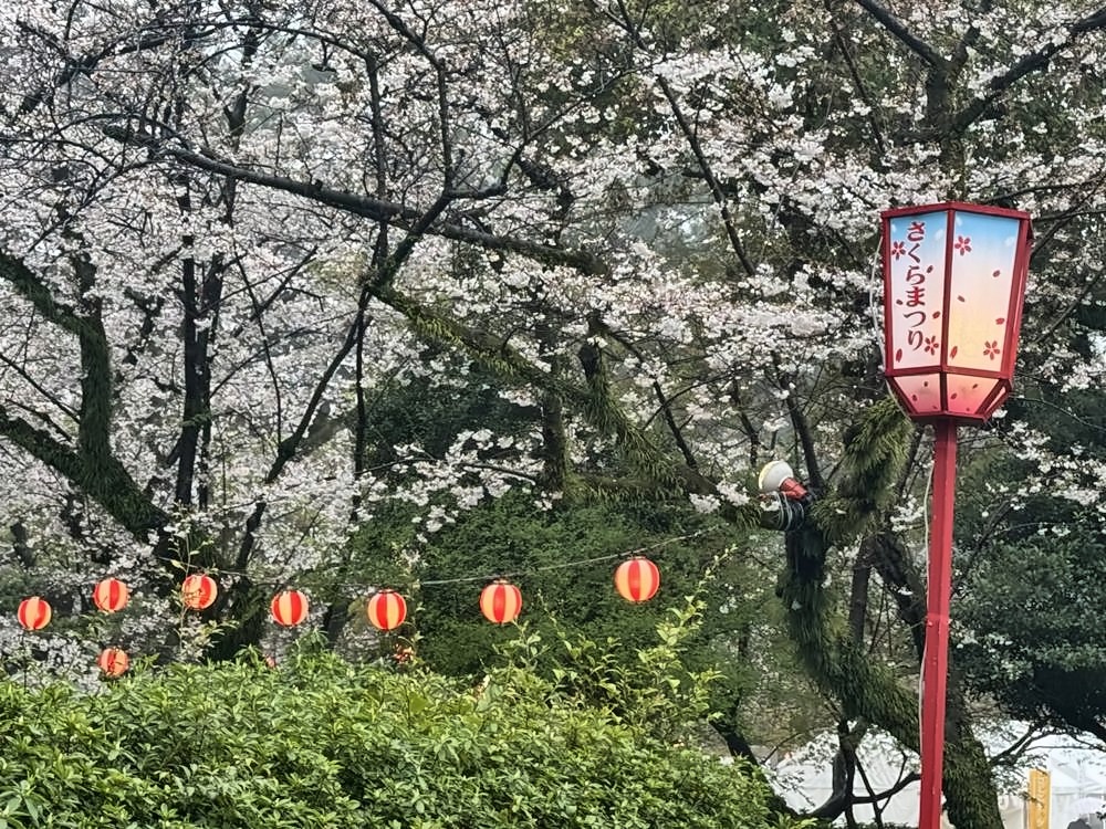 Nagoya