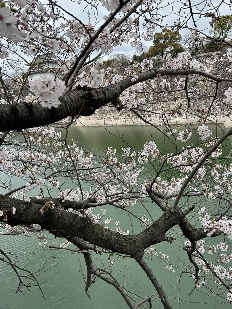 Osaka