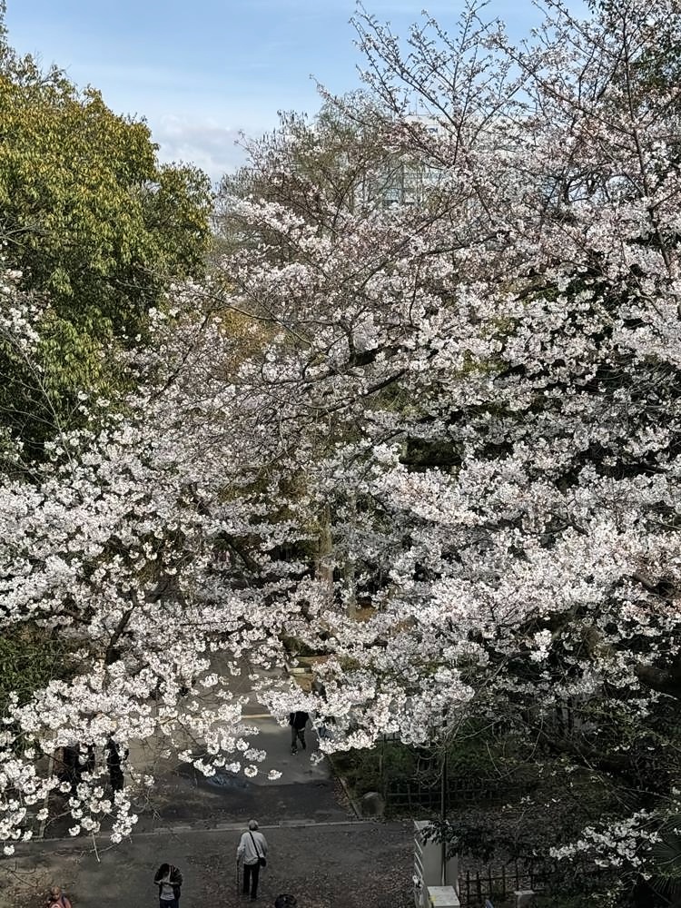 Osaka