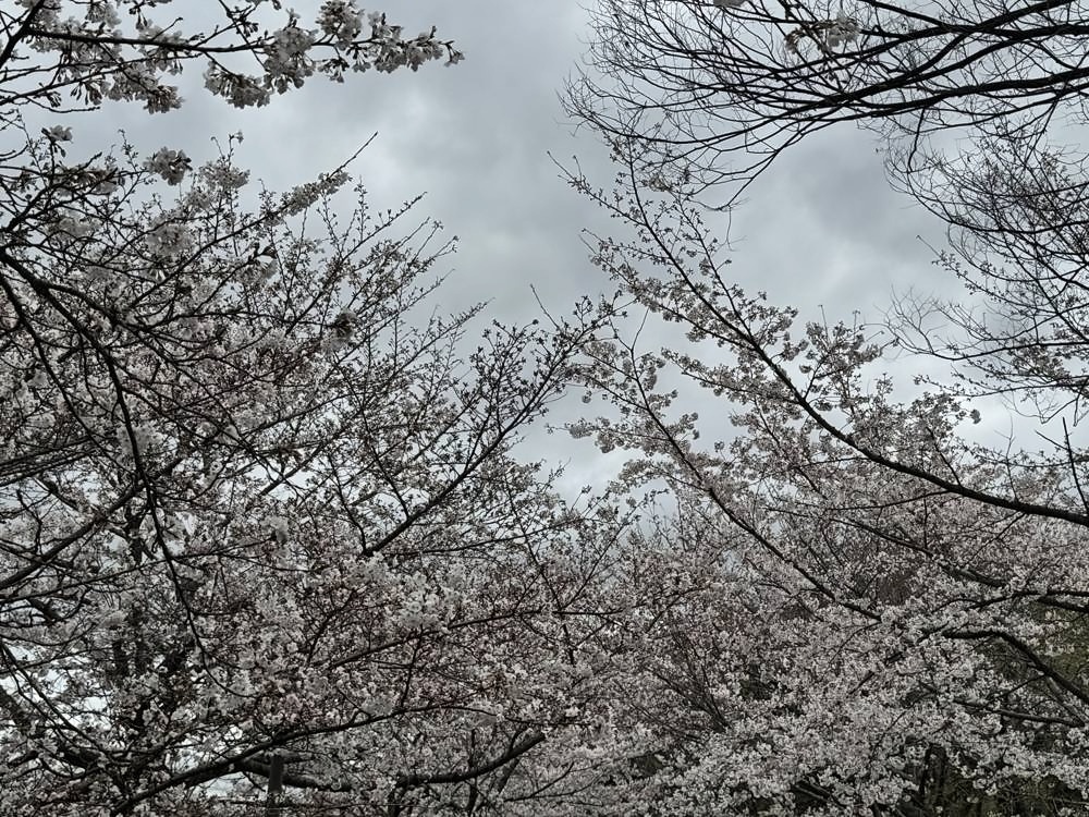 Osaka