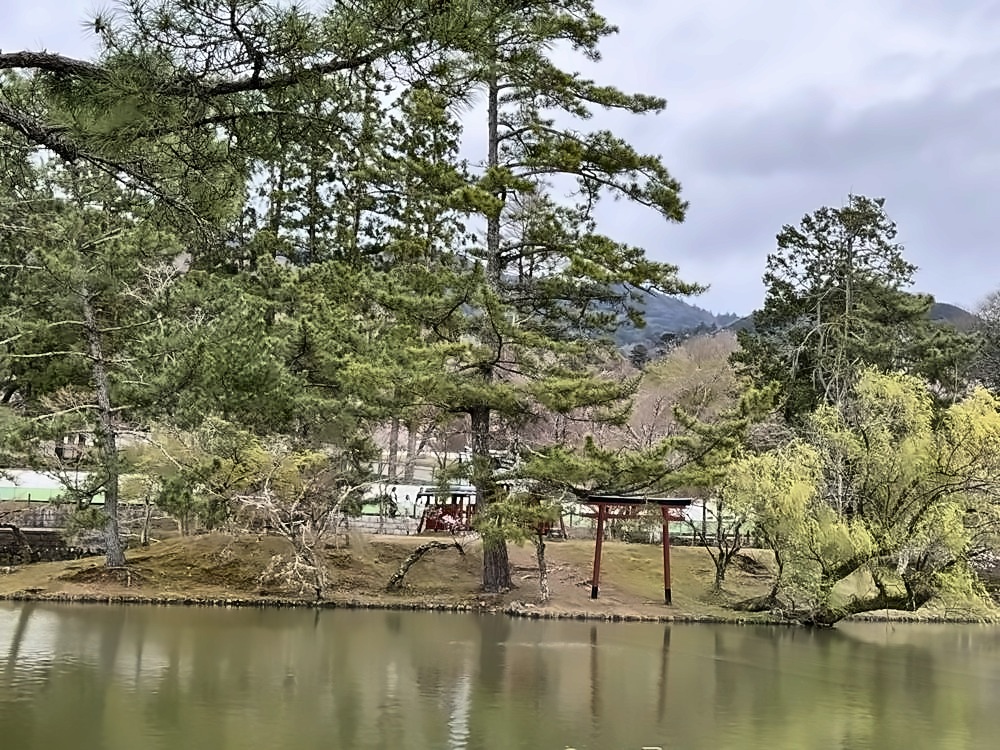 Nara