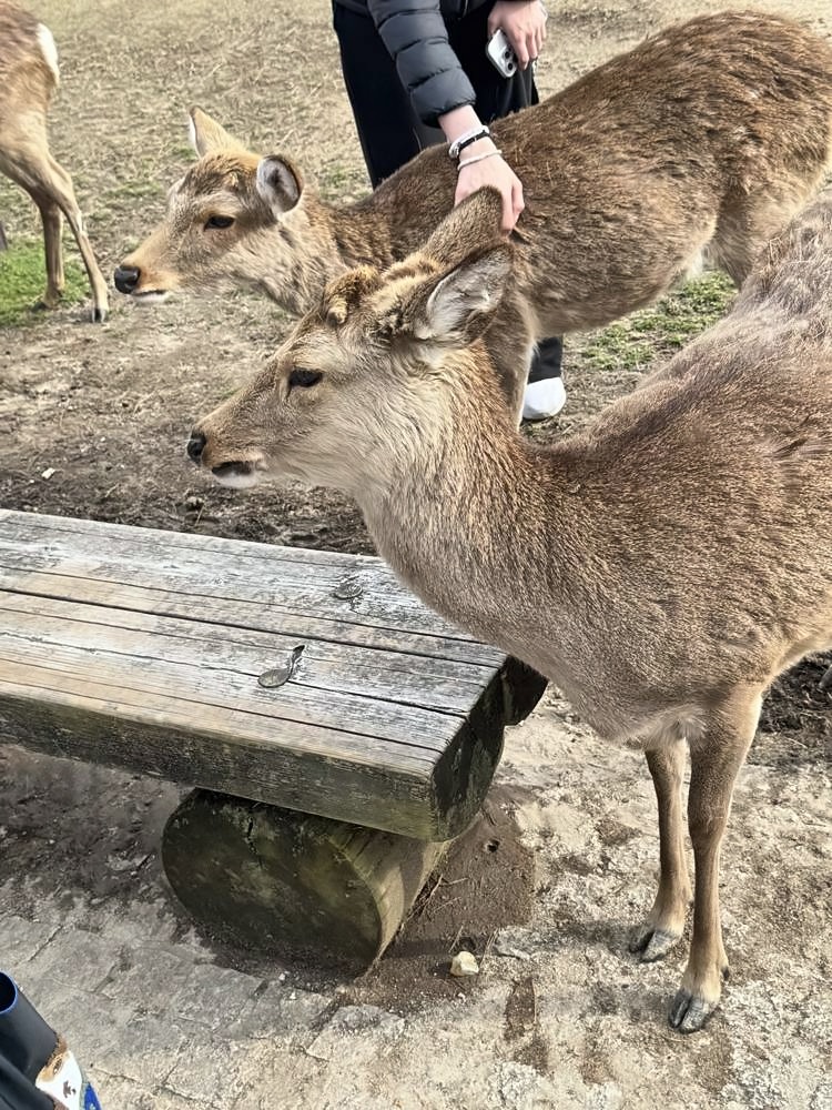 Nara