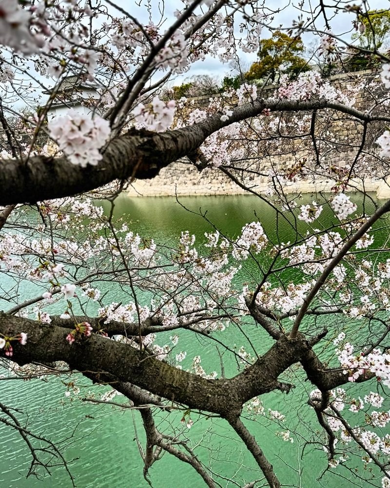 Osaka