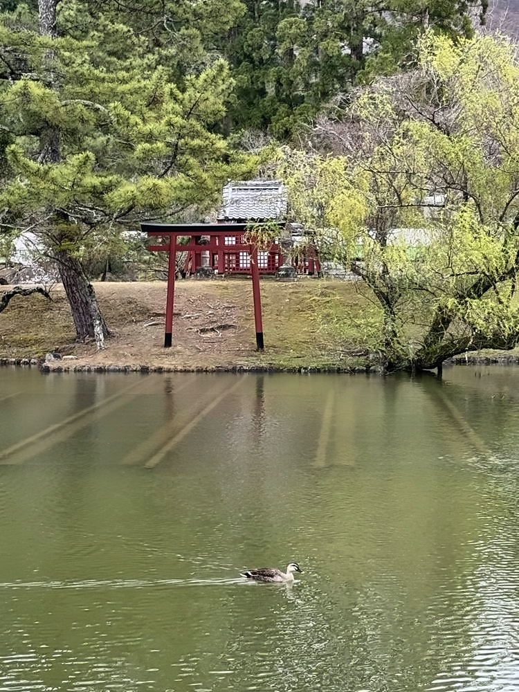 Nara