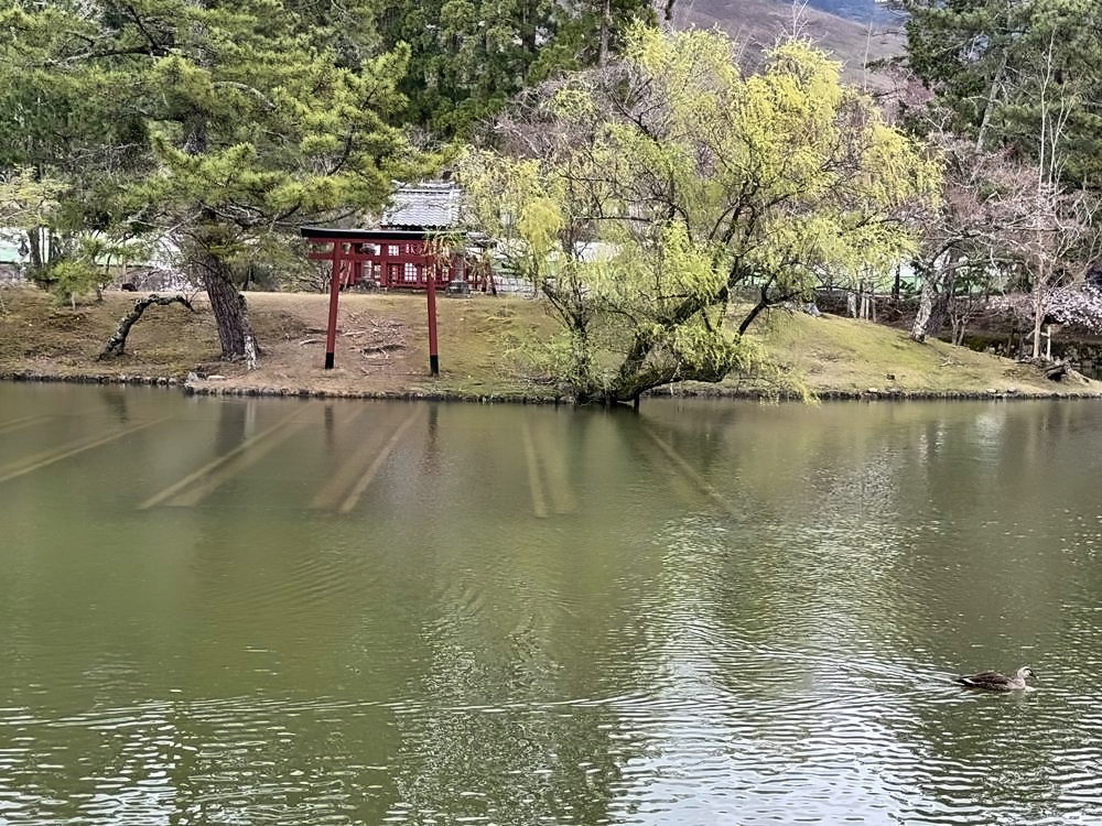 Nara