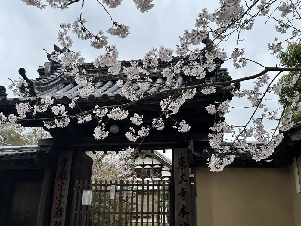 Nara