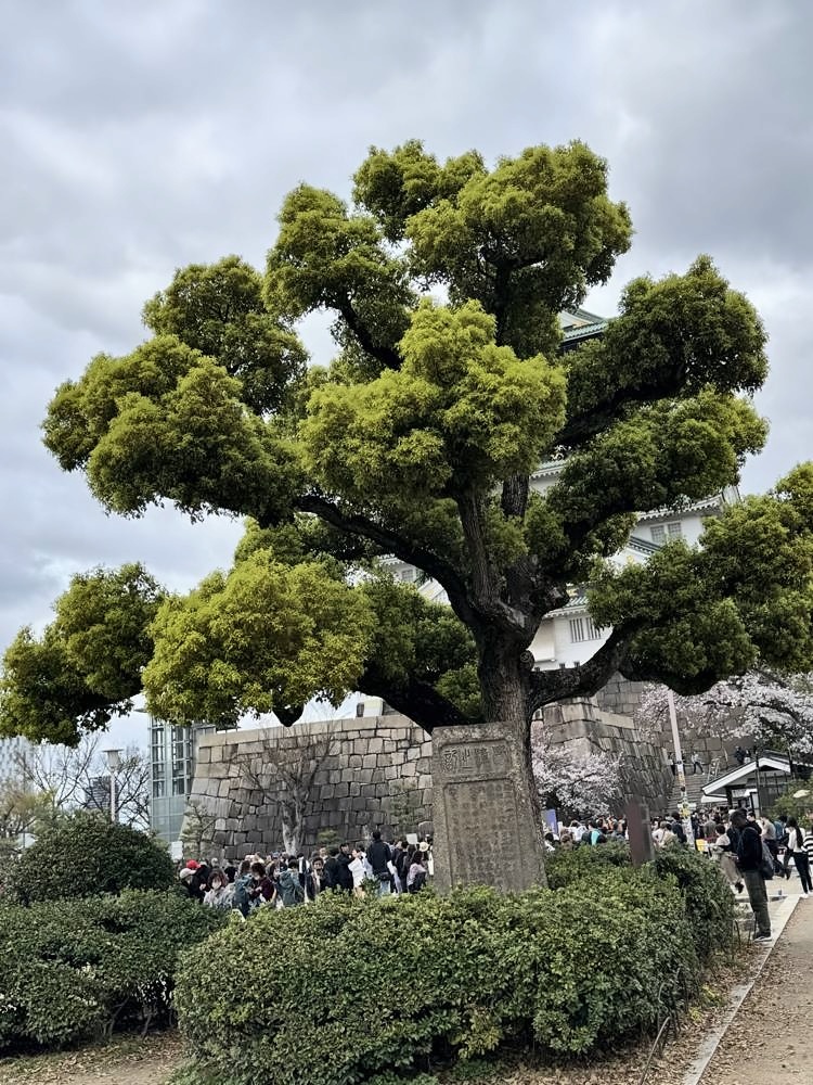 Osaka