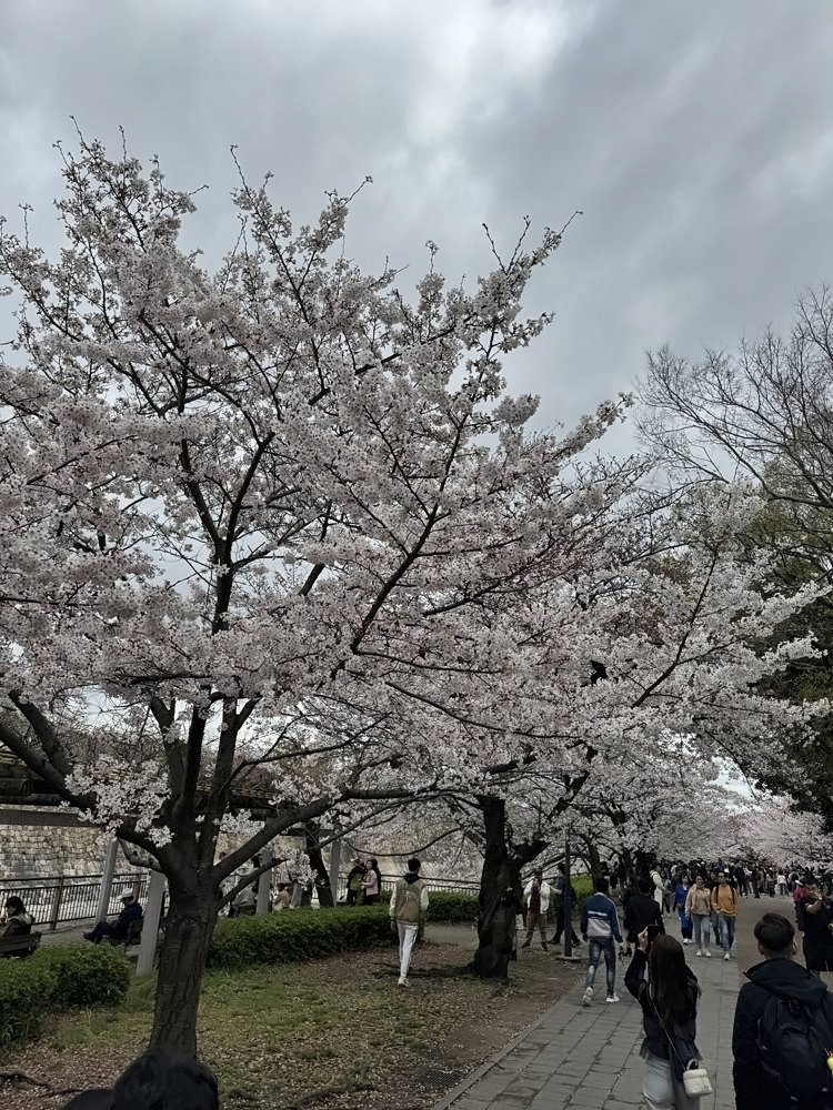 Osaka