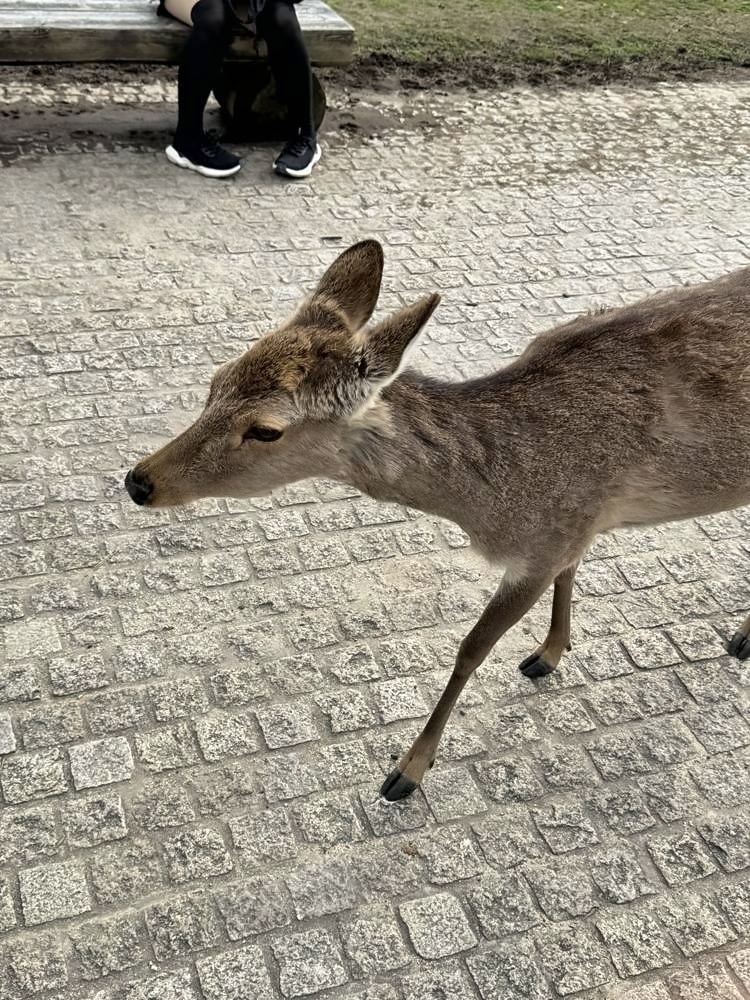 Nara
