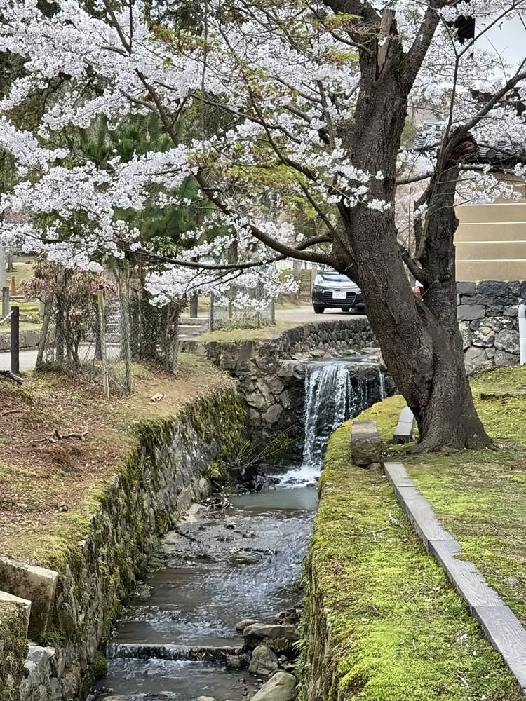 Nara