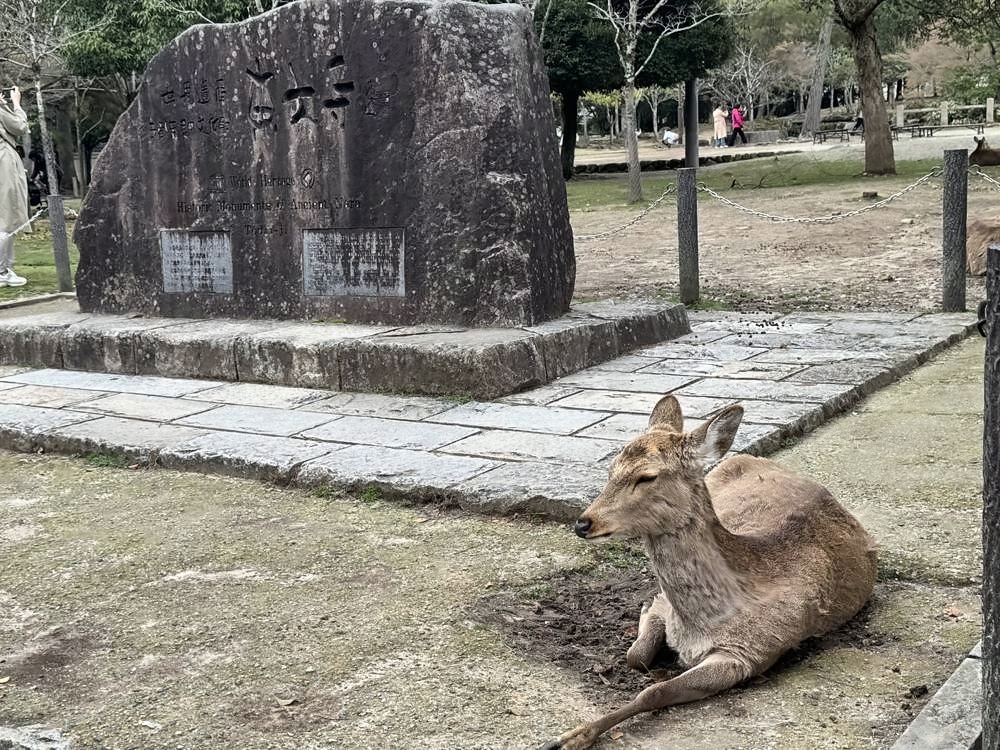 Nara