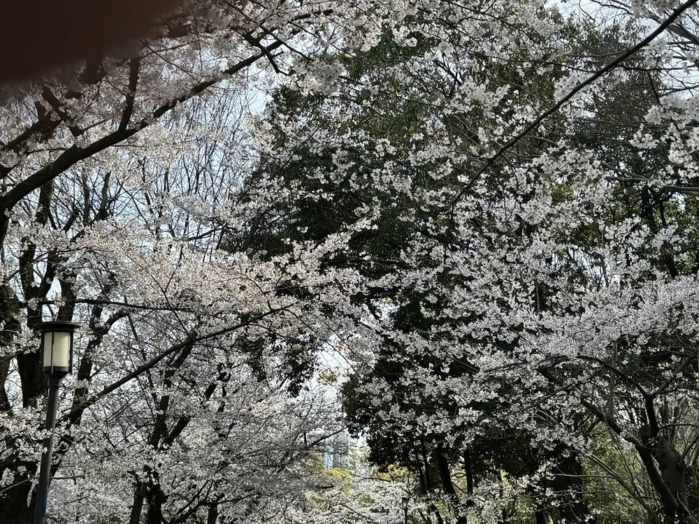 Osaka