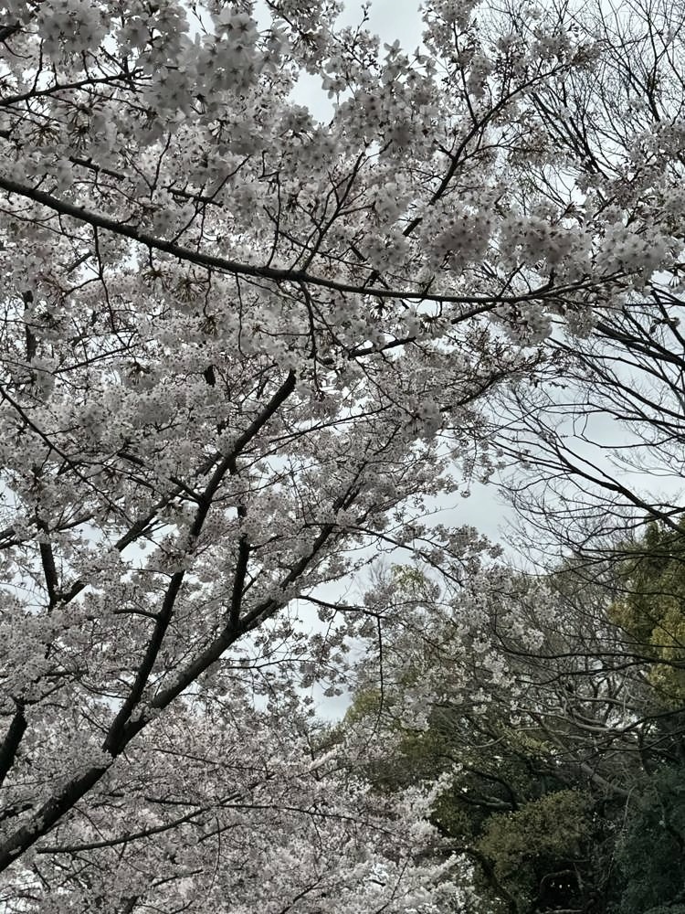 Osaka