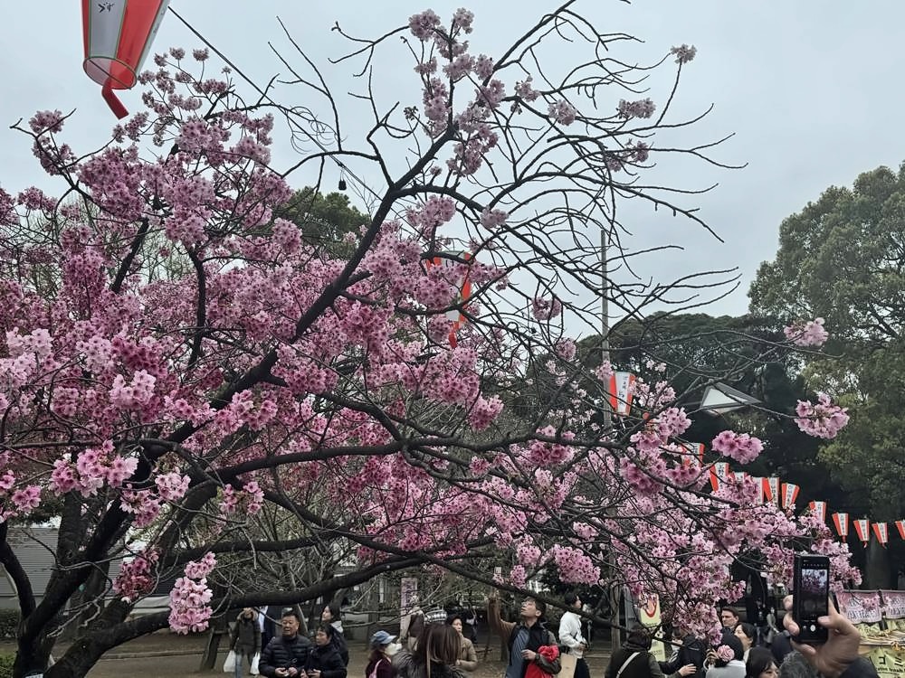 Tokyo