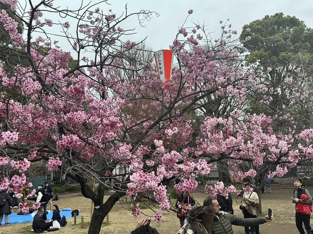 Tokyo