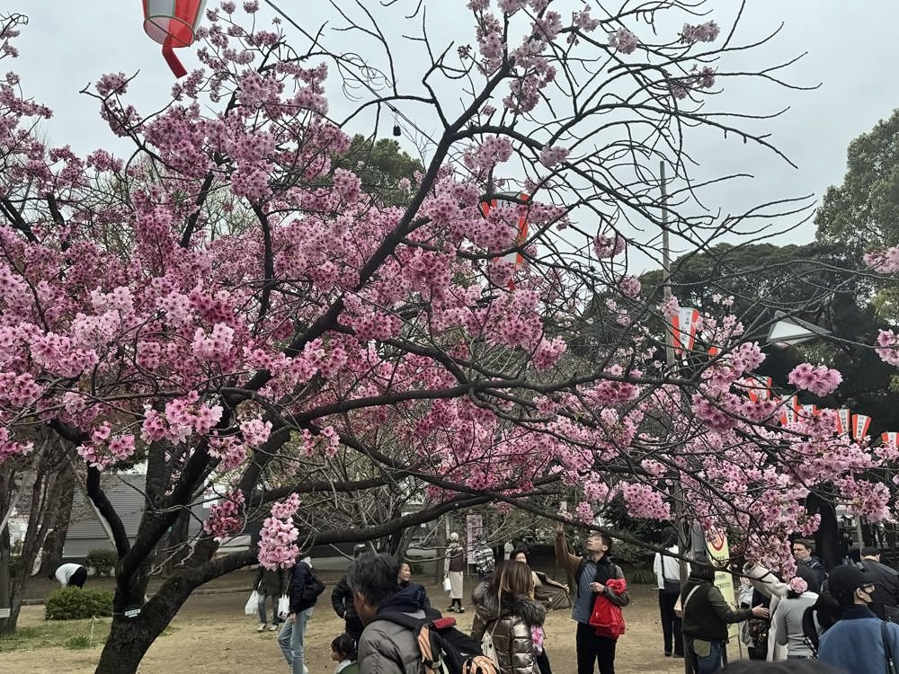 Tokyo