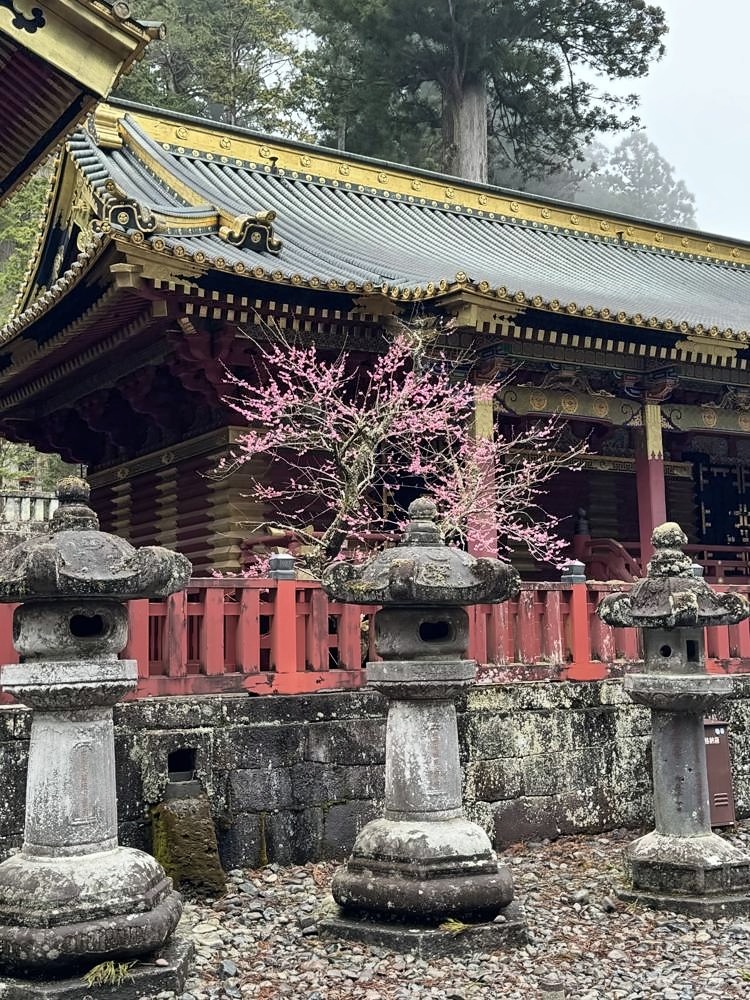 Nikko