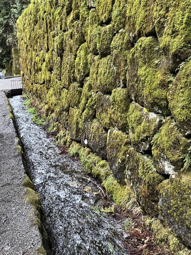 Nikko