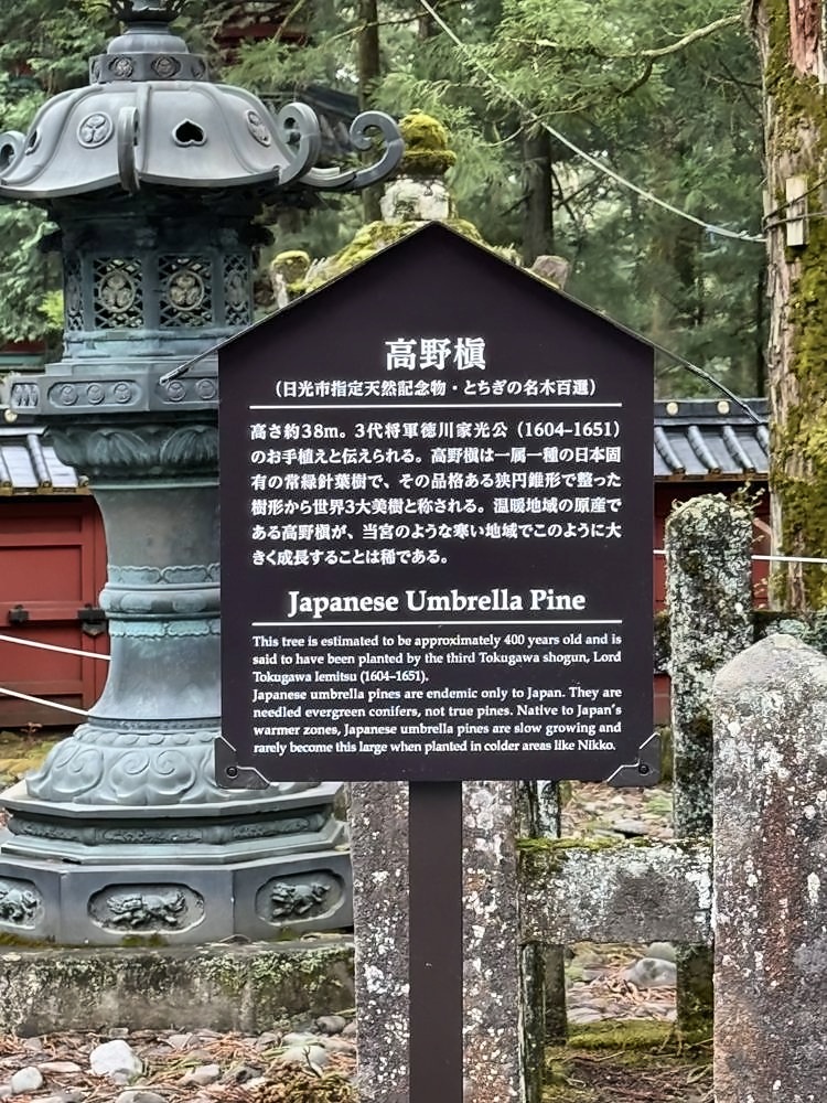 Nikko
