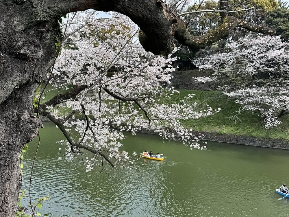Tokyo