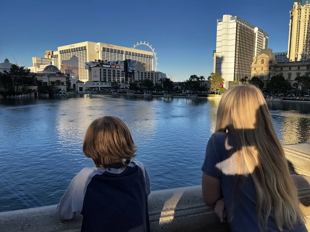 The Las Vegas Strip