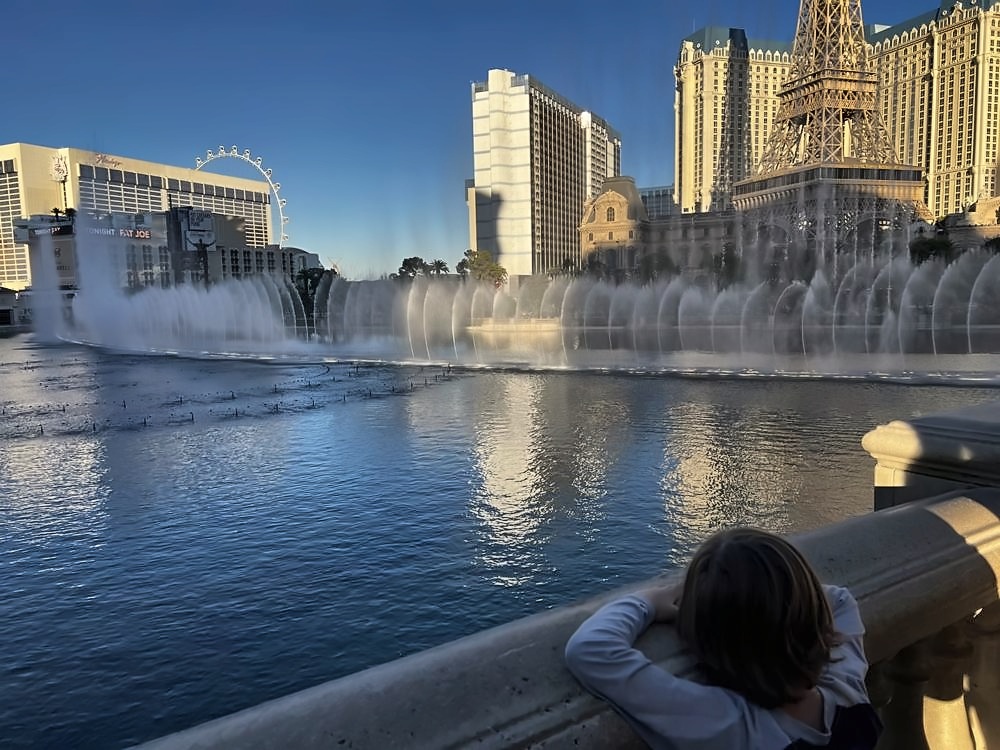 The Las Vegas Strip