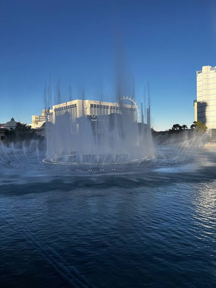 The Las Vegas Strip