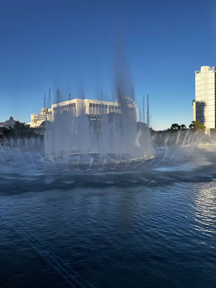 The Las Vegas Strip