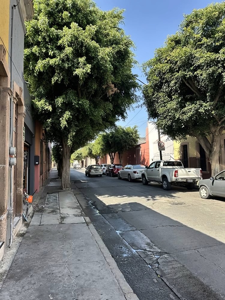 León