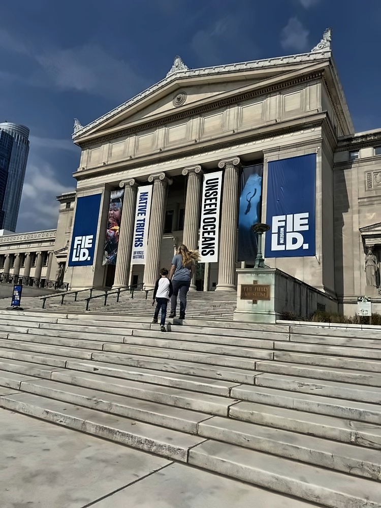 The Art Institute of Chicago