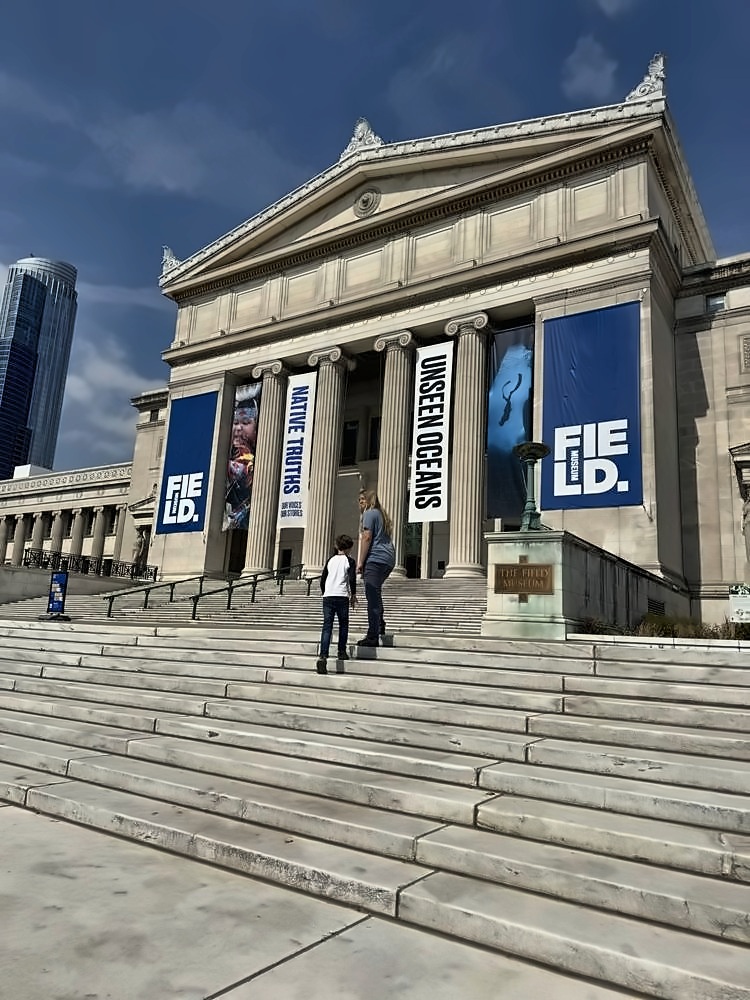 The Art Institute of Chicago