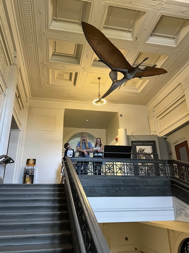 The Art Institute of Chicago