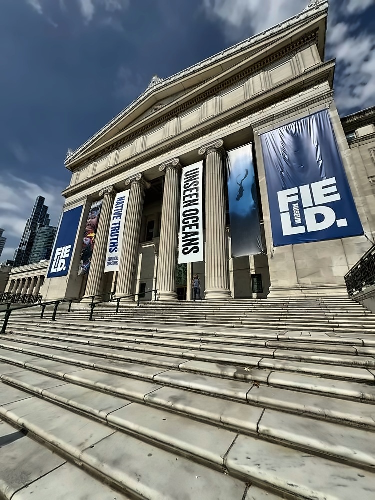 The Art Institute of Chicago