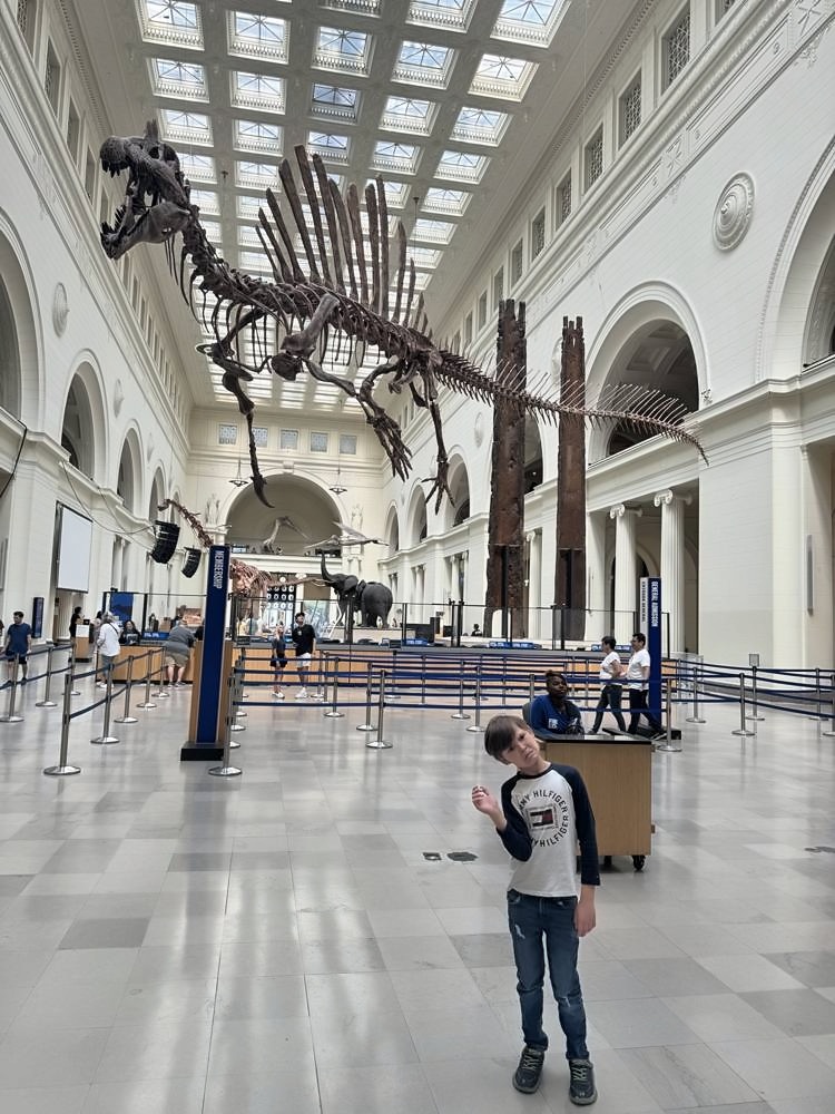 The Art Institute of Chicago