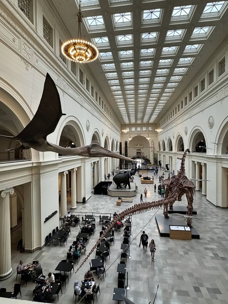 The Art Institute of Chicago
