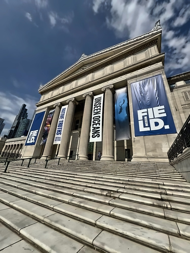 The Art Institute of Chicago