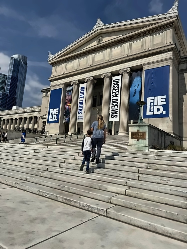 The Art Institute of Chicago