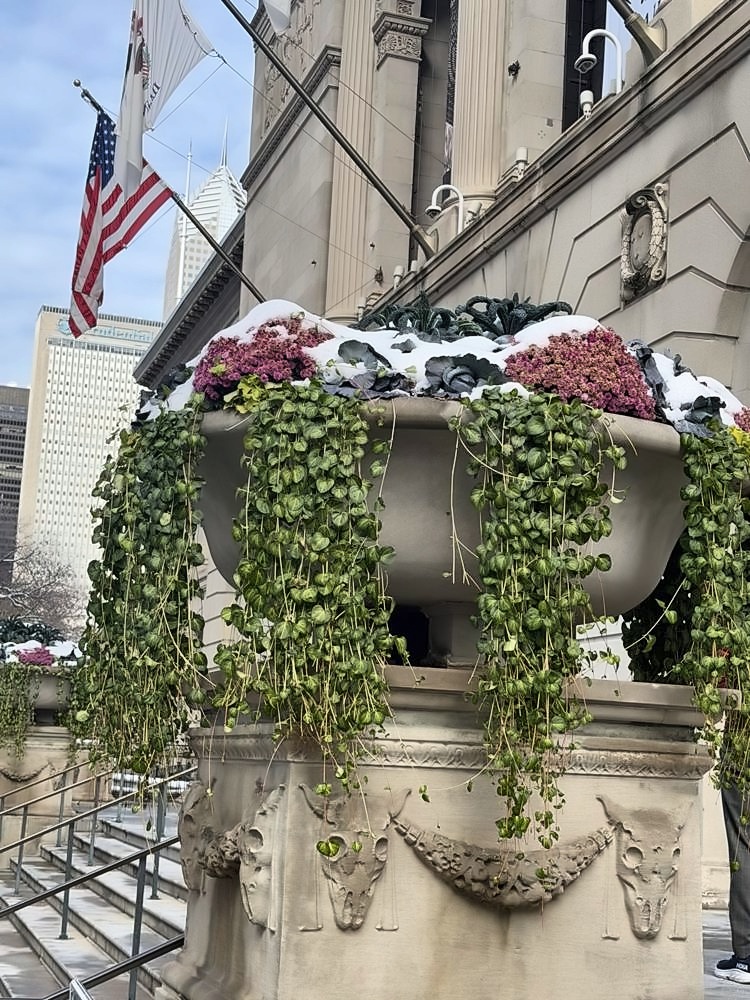 The Art Institute of Chicago