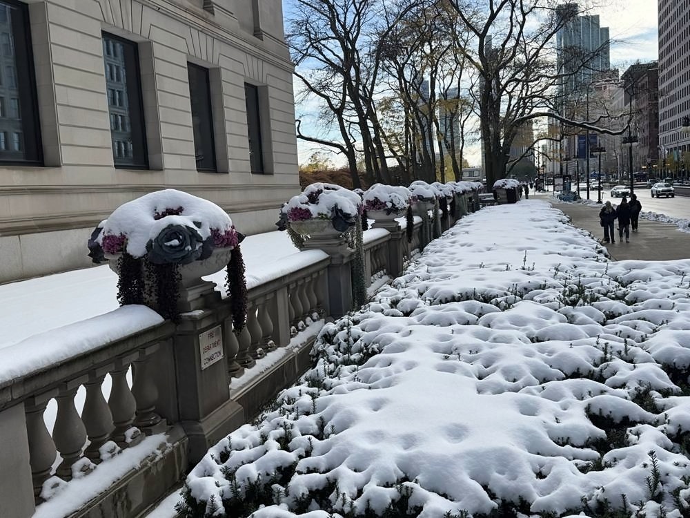The Art Institute of Chicago