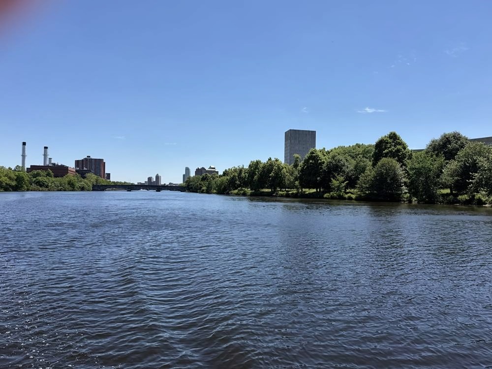 Harvard University