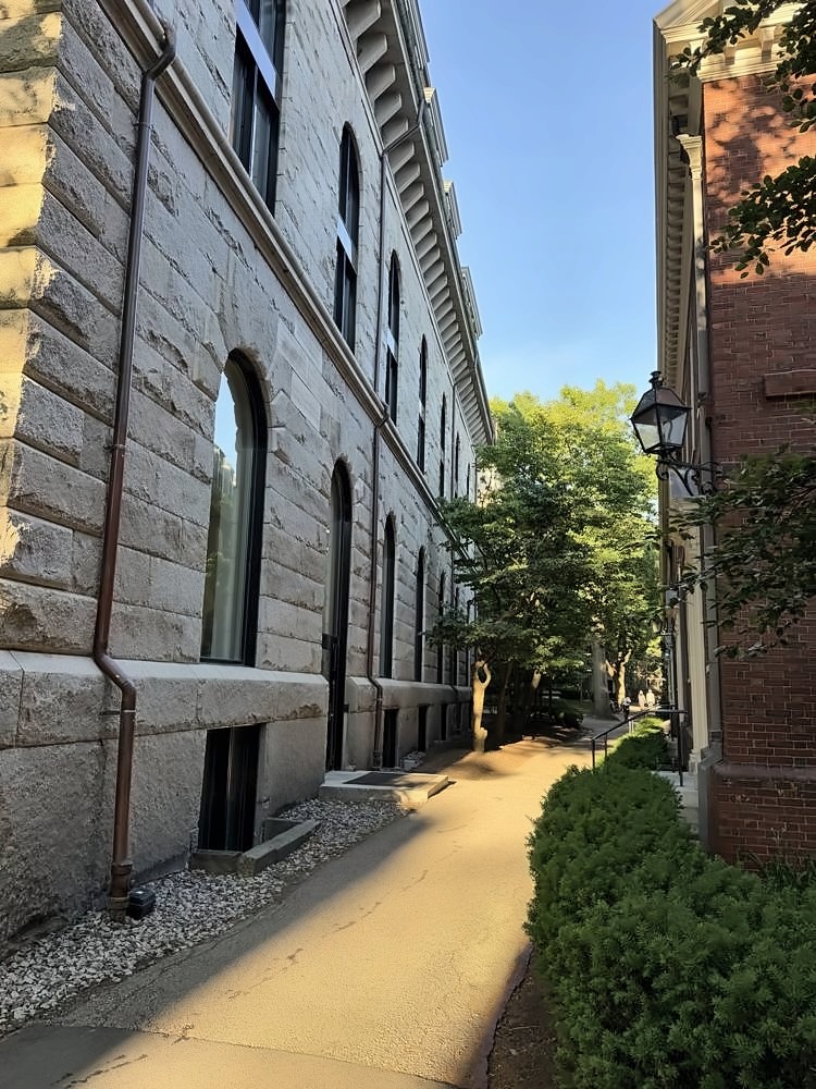 Harvard University