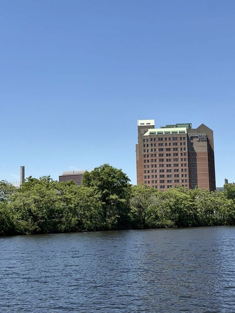 Harvard University