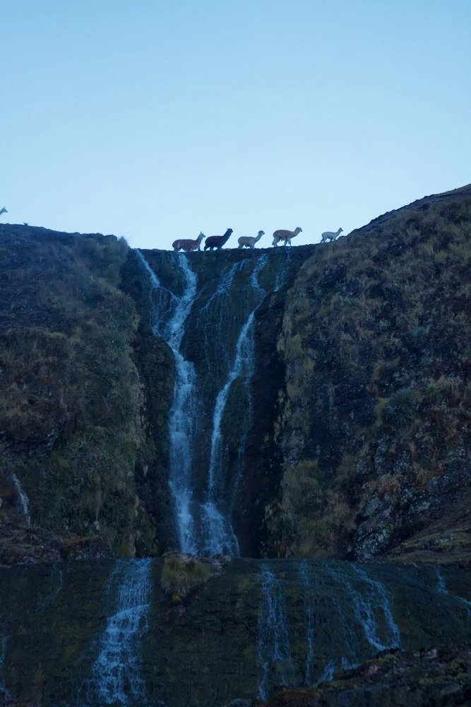 Lares